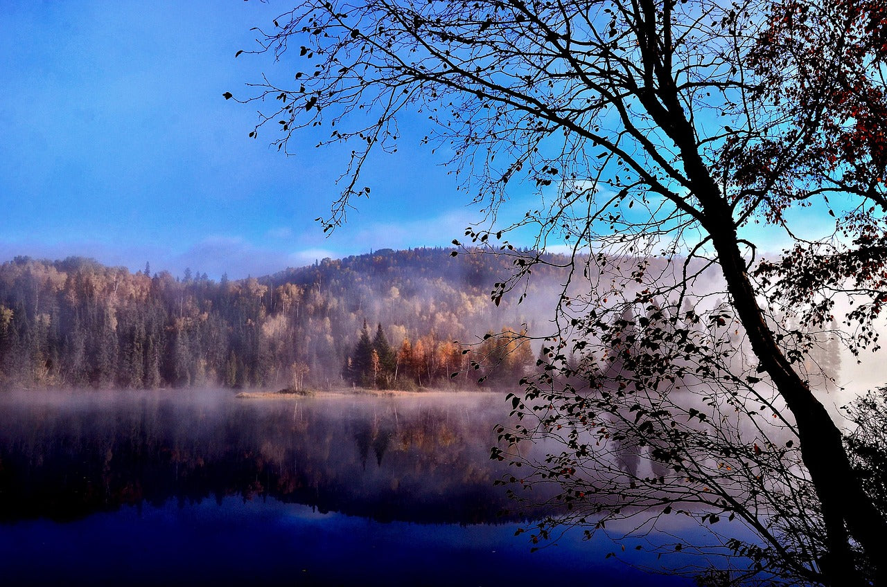Quebec: die 5 besten Orte, um die Natur Ostkanadas zu entdecken