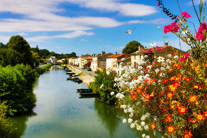 Frankreich neu entdecken im Marais Poitevin: die besten Highlights
