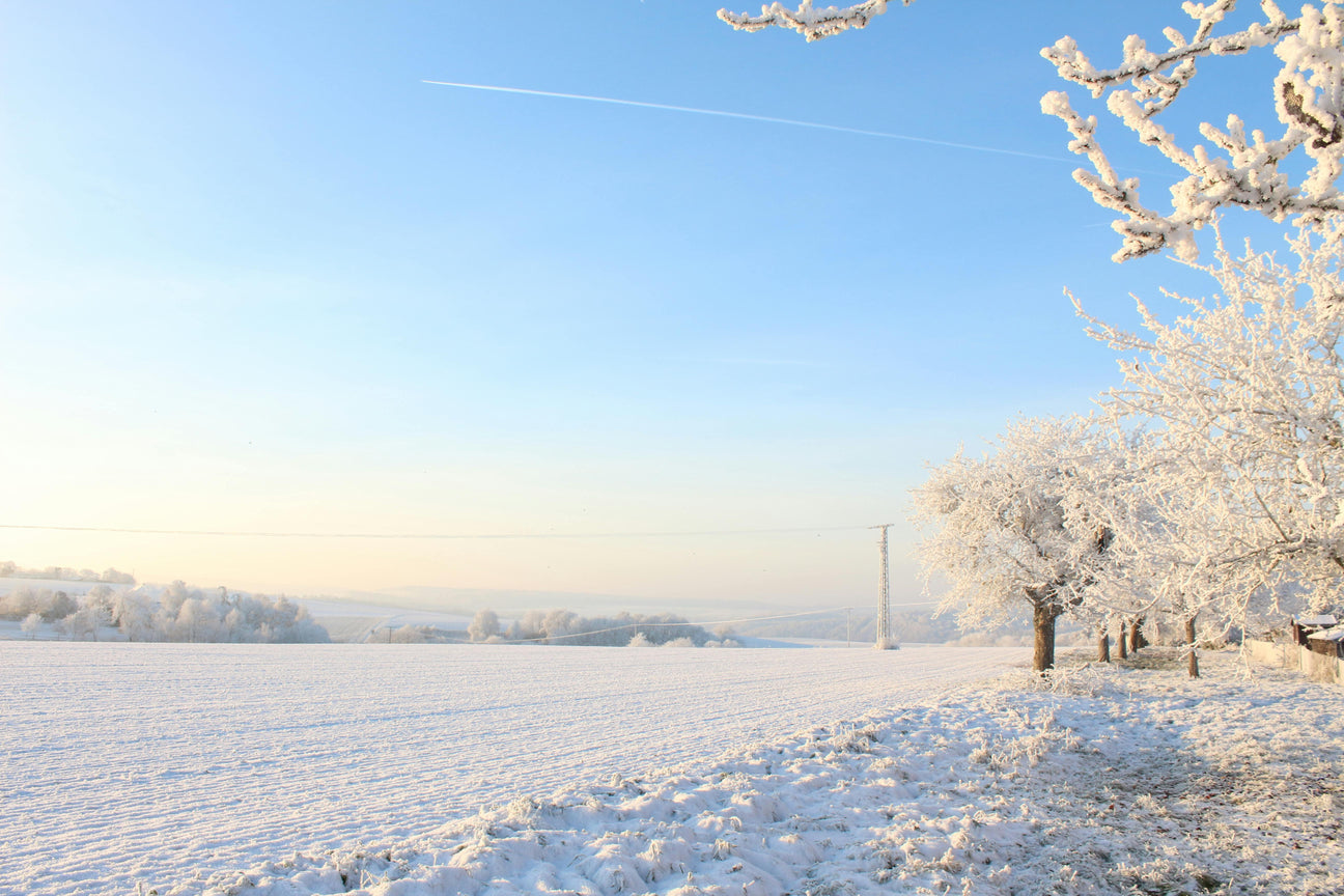 Finnland-Urlaub im Winter: Die schönsten Orte