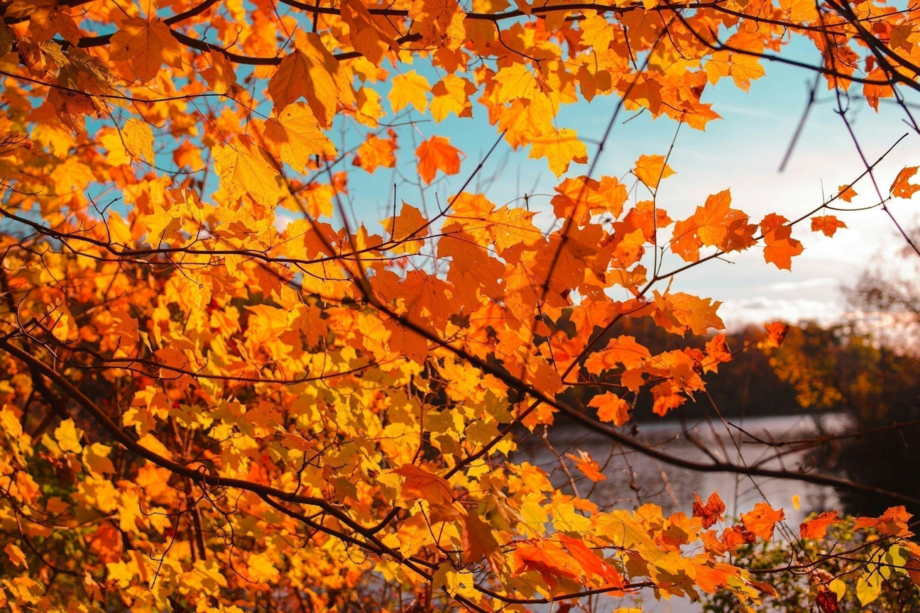 Neuengland-Roadtrip: Natur, Geschichte und Indian Summer