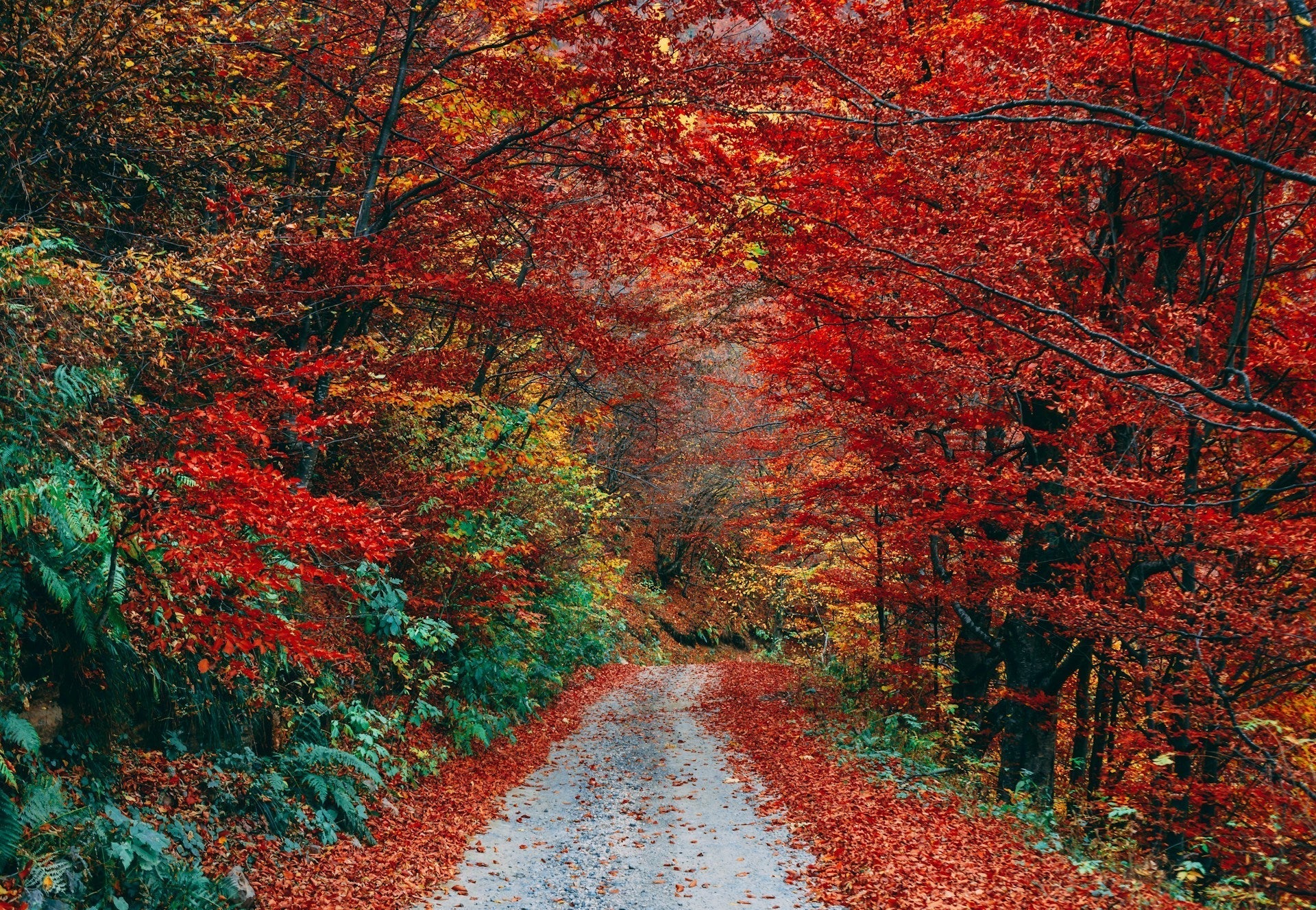 Die schönsten Reiseziele für Herbstliebhaber: Wo der Herbst seine Farben entfaltet